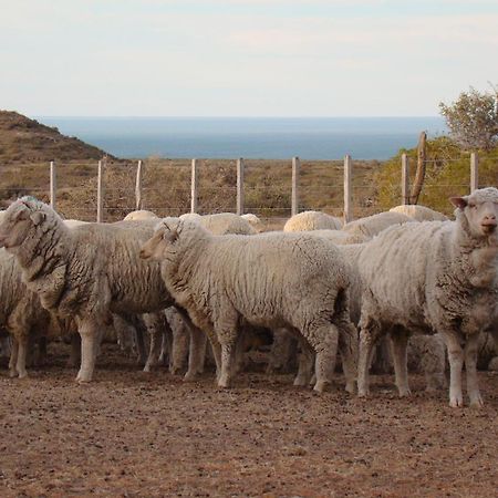 La Antonieta Estancia De Mar Dos Pozos Екстериор снимка