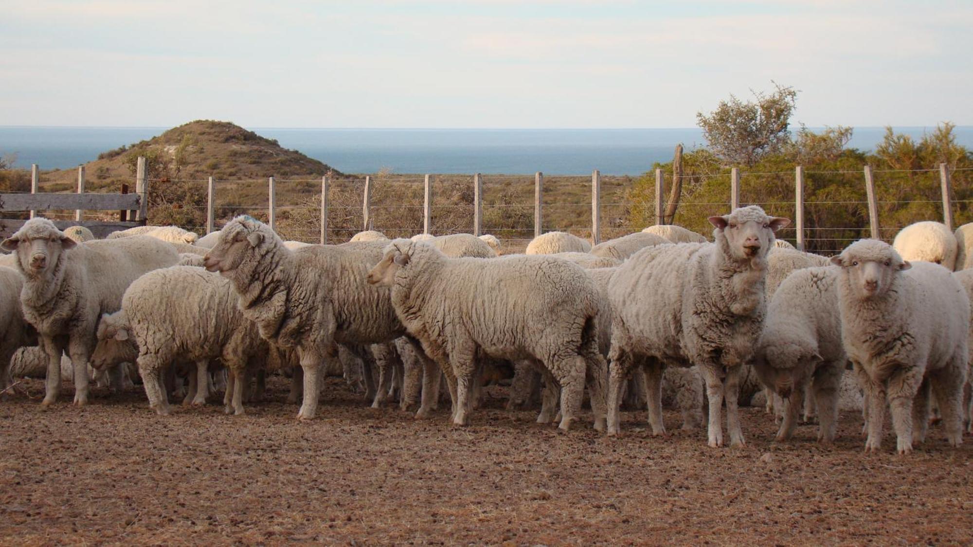 La Antonieta Estancia De Mar Dos Pozos Екстериор снимка