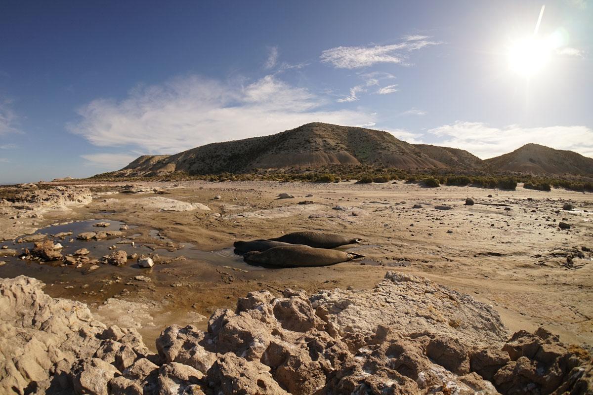 La Antonieta Estancia De Mar Dos Pozos Екстериор снимка