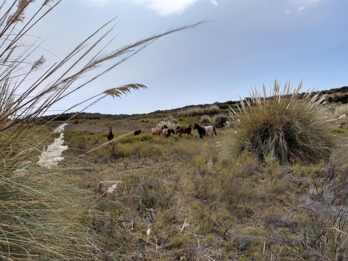 La Antonieta Estancia De Mar Dos Pozos Екстериор снимка